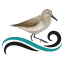 Sandpiper Aquatic Solutions